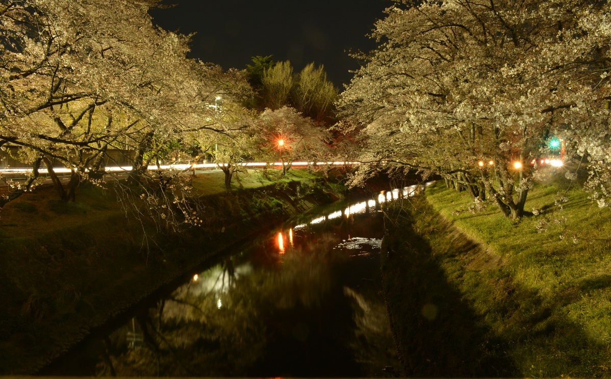 a0055650_2244686.jpg