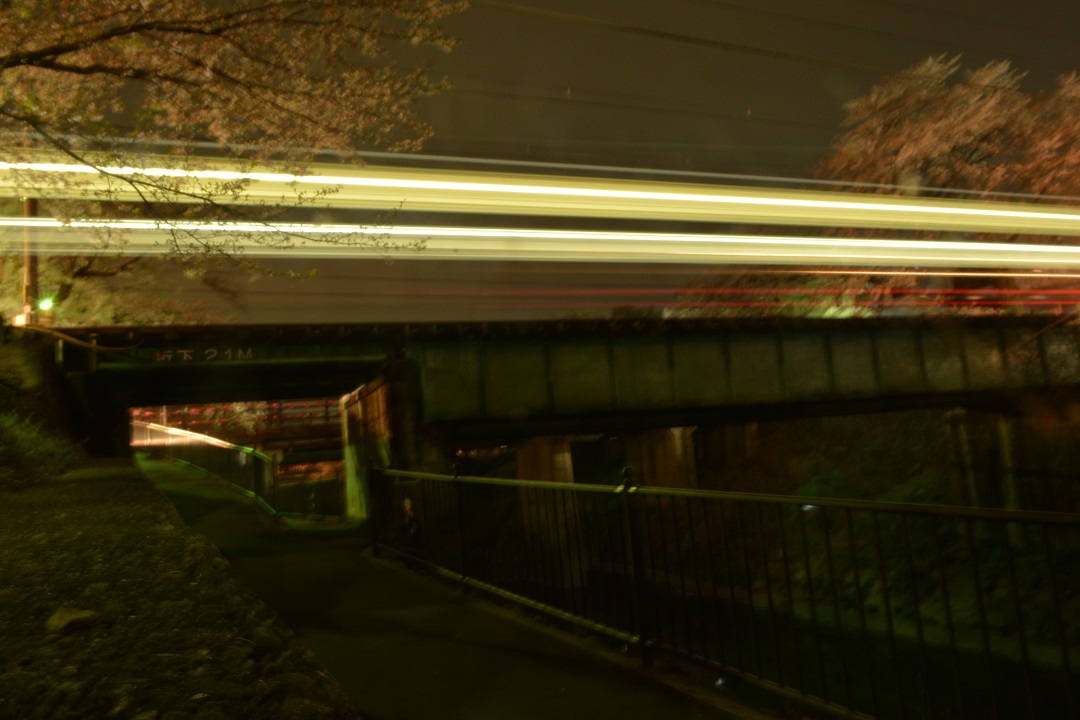 a0055650_2511020.jpg