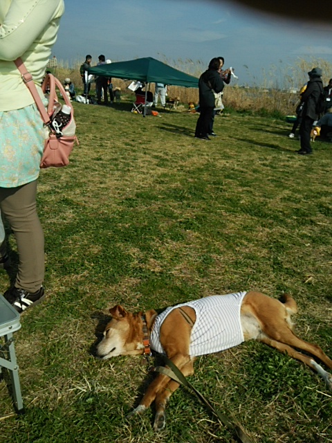 b0072650_20111319.jpg