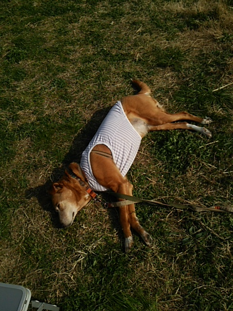 b0072650_20111352.jpg