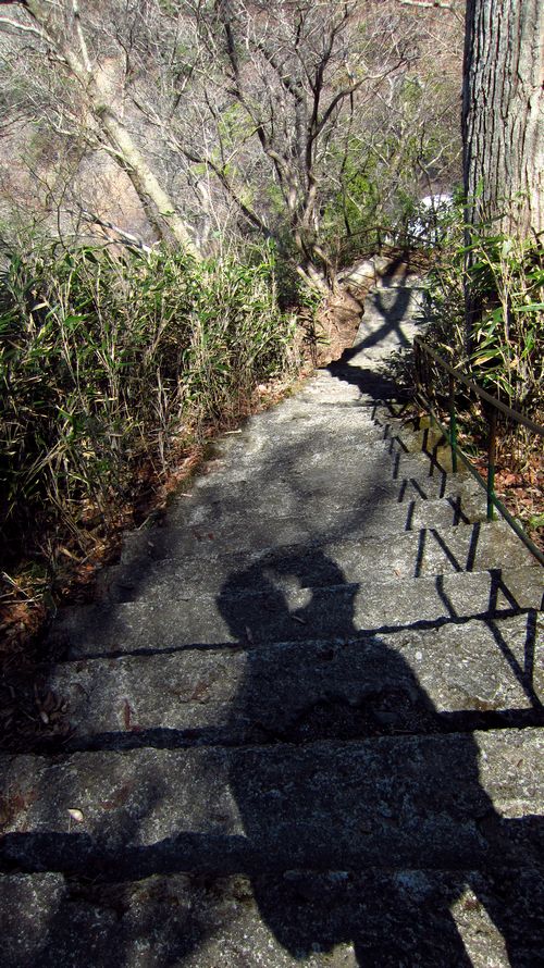 e0019550_23103051.jpg