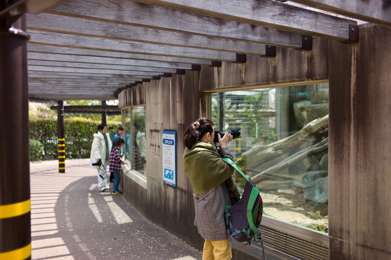 f0323351_12494349.jpg