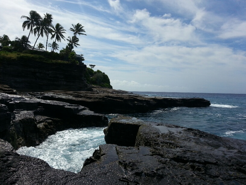 b0126453_7394674.jpg