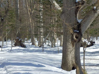 e0004756_20103181.jpg