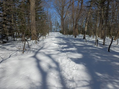 e0004756_204786.jpg
