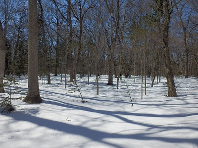 e0004756_205474.jpg