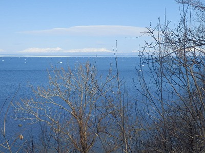 e0004756_2083582.jpg