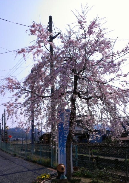 b0186959_9143070.jpg