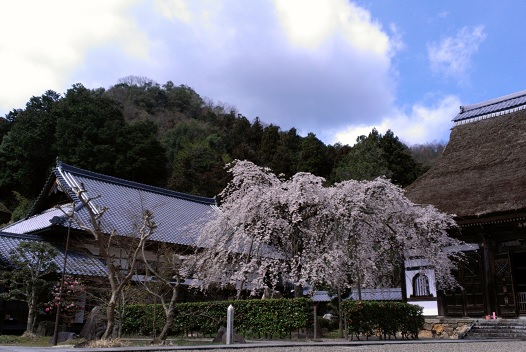 b0186959_9153081.jpg