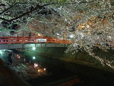 f0106664_2213379.jpg