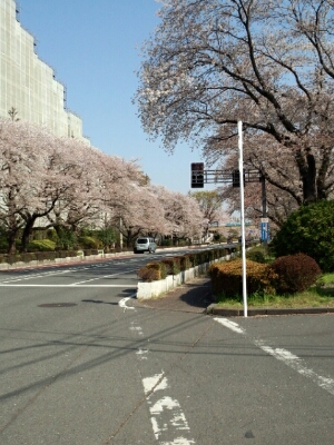f0222164_14134270.jpg