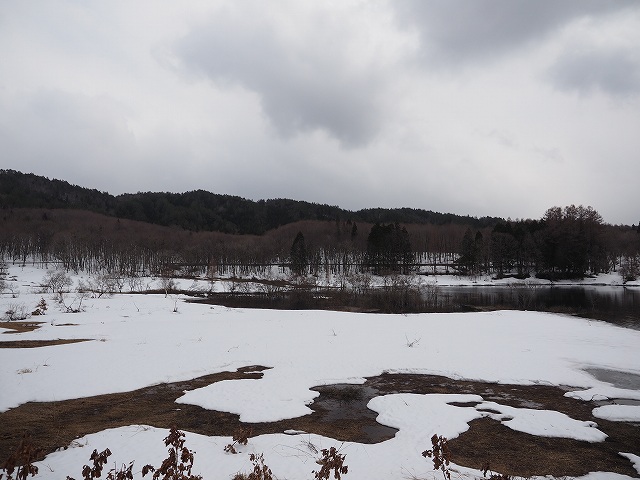 d0128465_92552.jpg