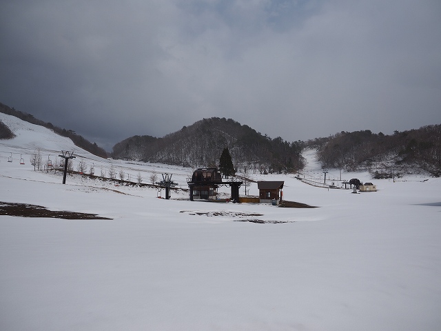 d0128465_931383.jpg