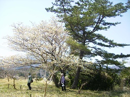 a0055866_01552338.jpg