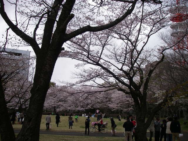 a0074069_0205797.jpg