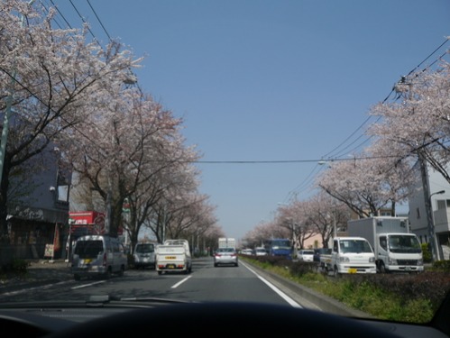 b0125570_10331628.jpg