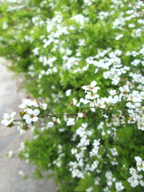 e0274872_17410133.jpg