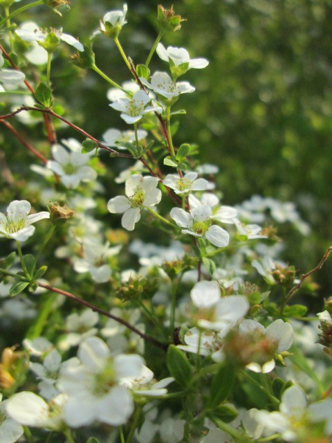 e0274872_17415561.jpg