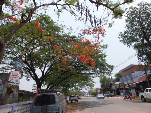 a0002177_18433250.jpg