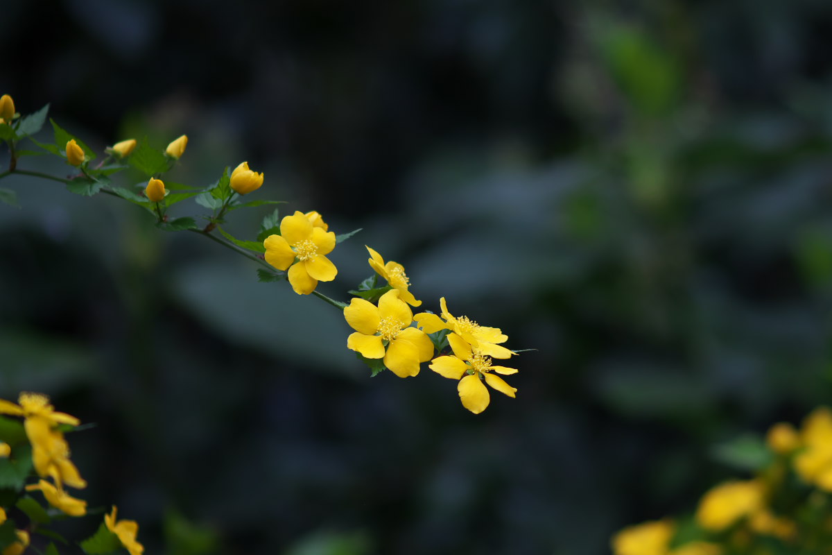 a0083081_20174431.jpg