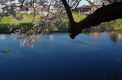 b0119493_165961.jpg
