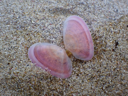 a0125598_21054705.jpg