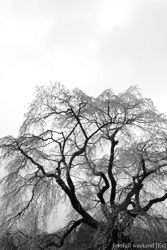 b0138101_2145753.jpg