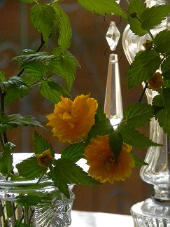 c0152002_18233101.jpg