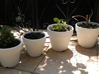 c0152002_18250157.jpg