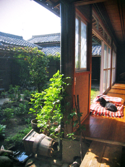 d0077603_11291276.jpg