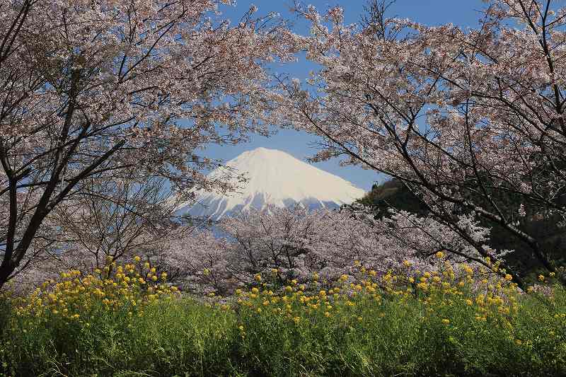 a0188405_10573114.jpg