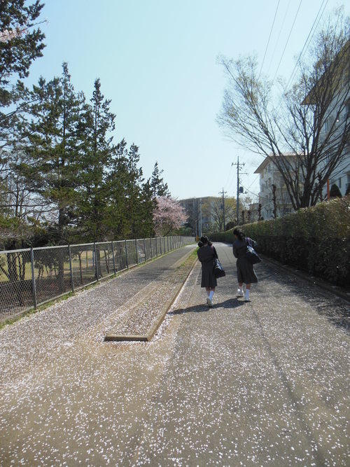 f0208812_1712517.jpg