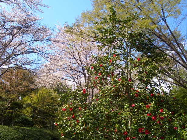 e0033713_19064703.jpg