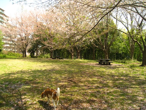 c0084117_17525527.jpg