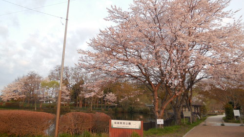 b0211028_2320473.jpg