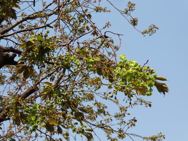e0016828_9504815.jpg
