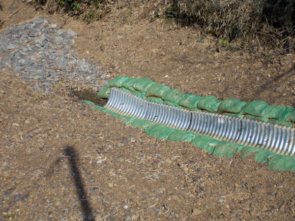 f0111128_15513134.jpg