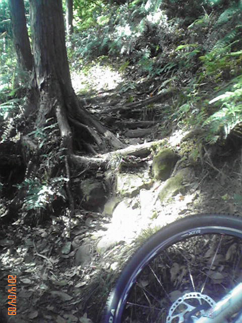b0222530_172352.jpg