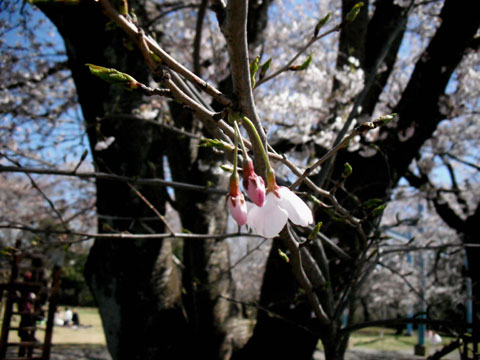 b0143231_2114433.jpg