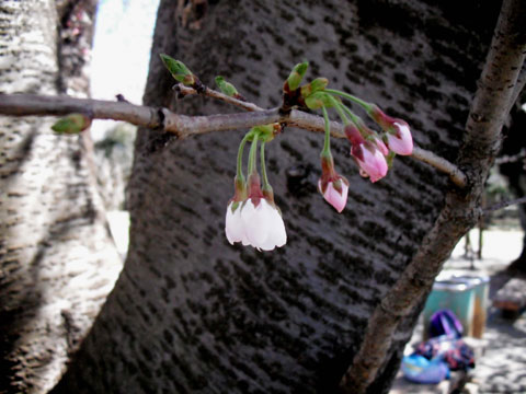 b0143231_21155192.jpg