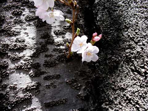b0143231_2118584.jpg