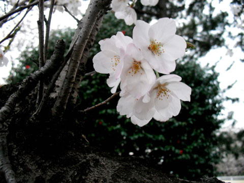 b0143231_21191240.jpg