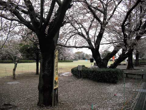 b0143231_2125146.jpg