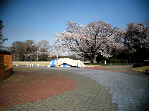b0143231_2142014.jpg