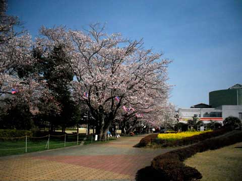 b0143231_2154443.jpg