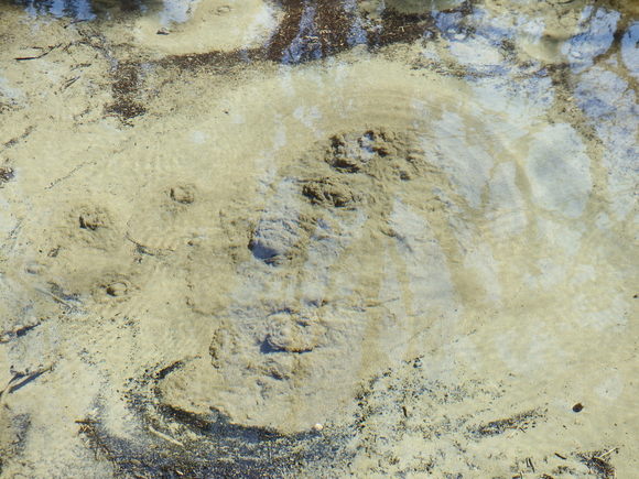 f0118332_2245104.jpg