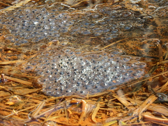f0118332_22572978.jpg