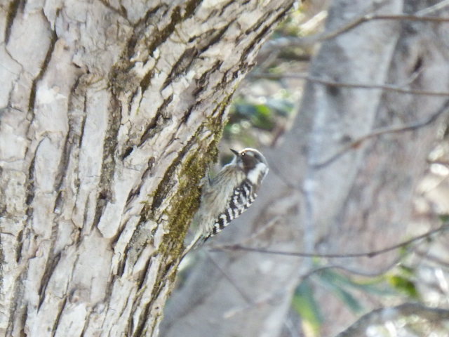 f0118332_22592160.jpg