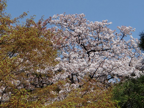 d0037233_10552870.jpg