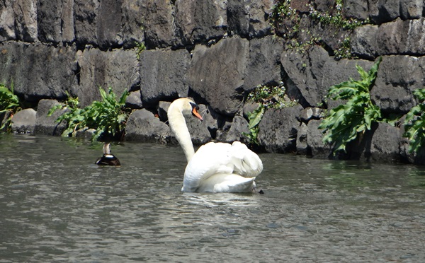 d0037233_11145621.jpg